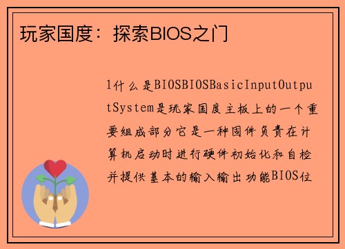 玩家国度：探索BIOS之门